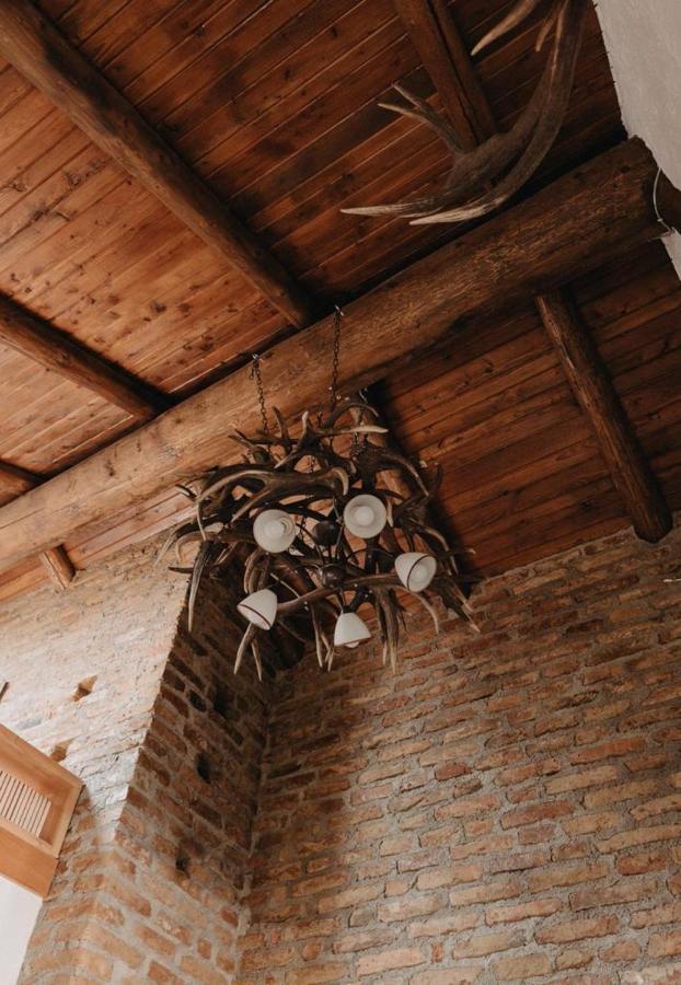 Honey Home Bistrita  Bagian luar foto